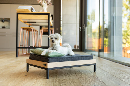 Dog bed MARA "Beech"